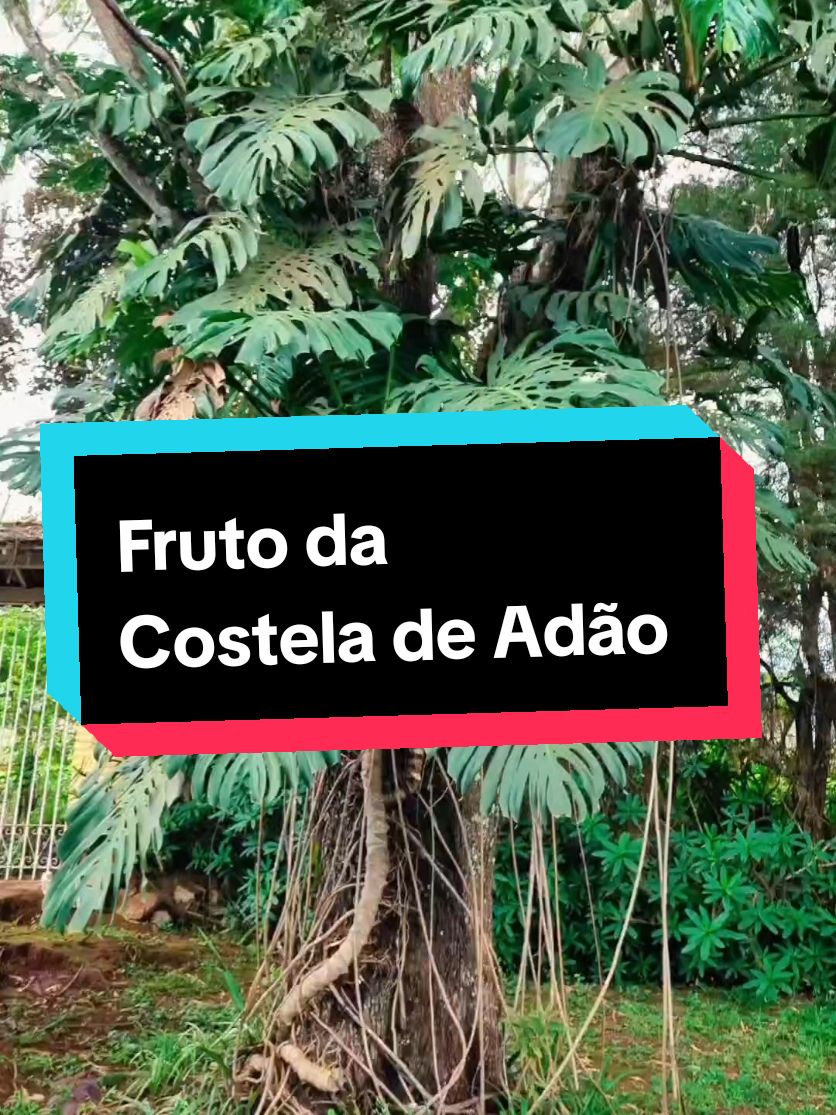 @Lucasgoncalvesbh
