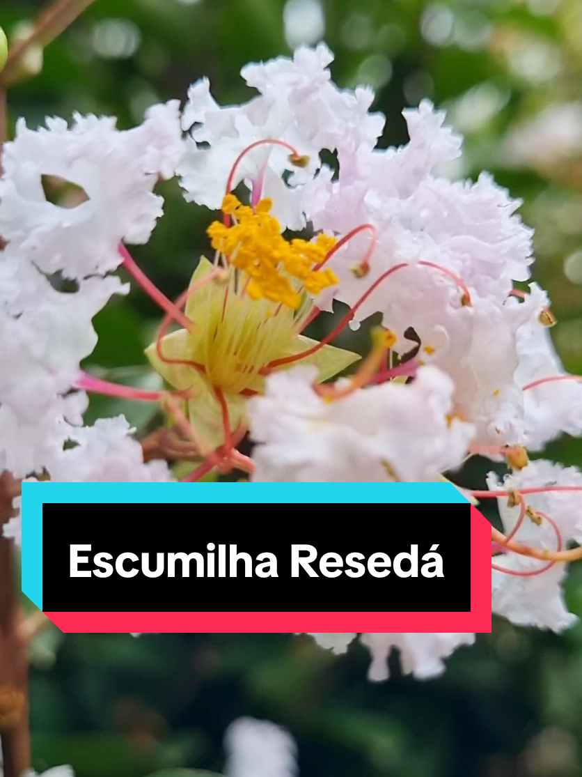 @Lucasgoncalvesbh