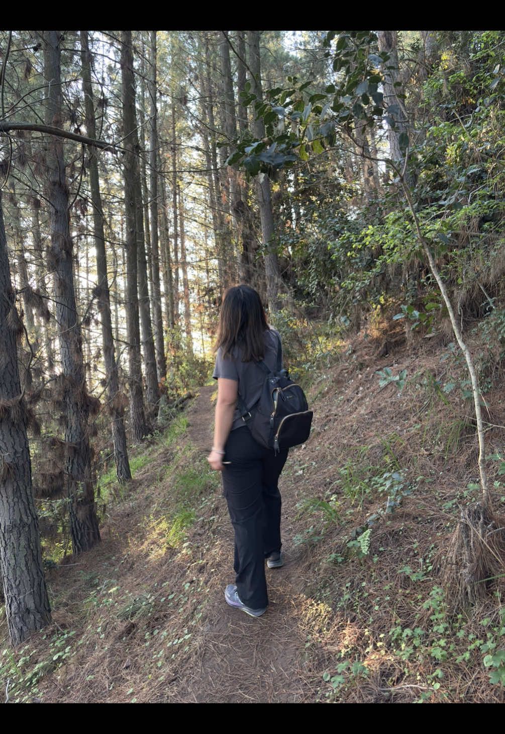 @Sebastian Moreno🏕️