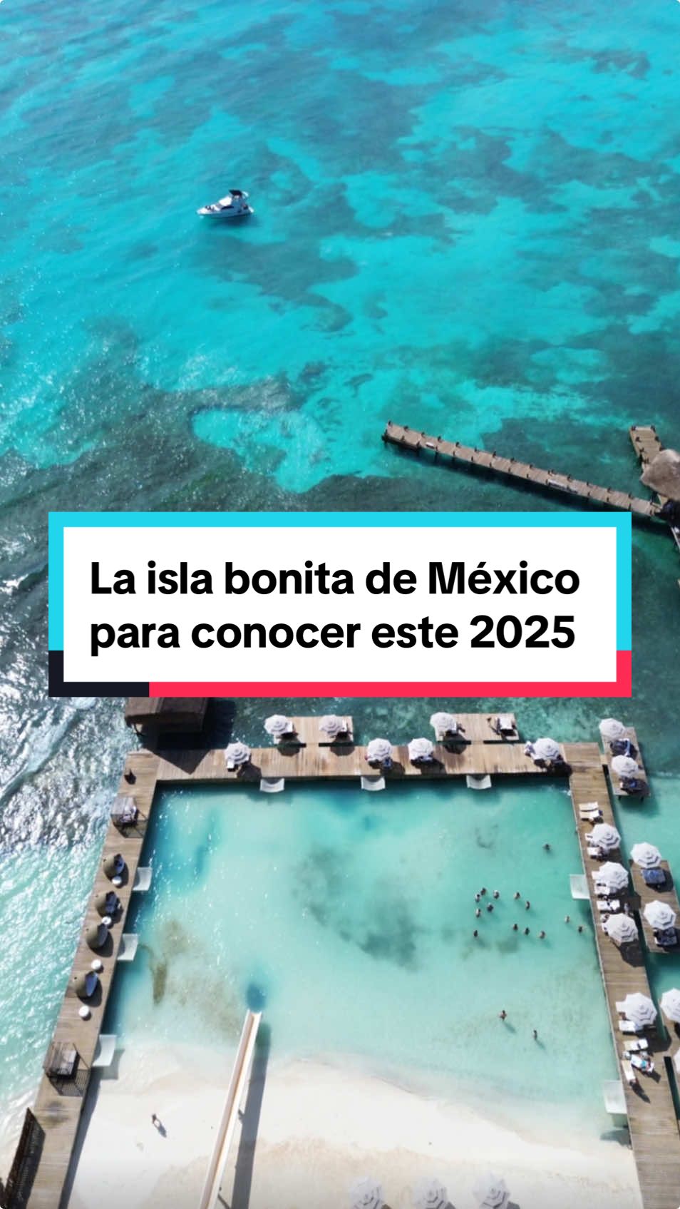 @Vive México