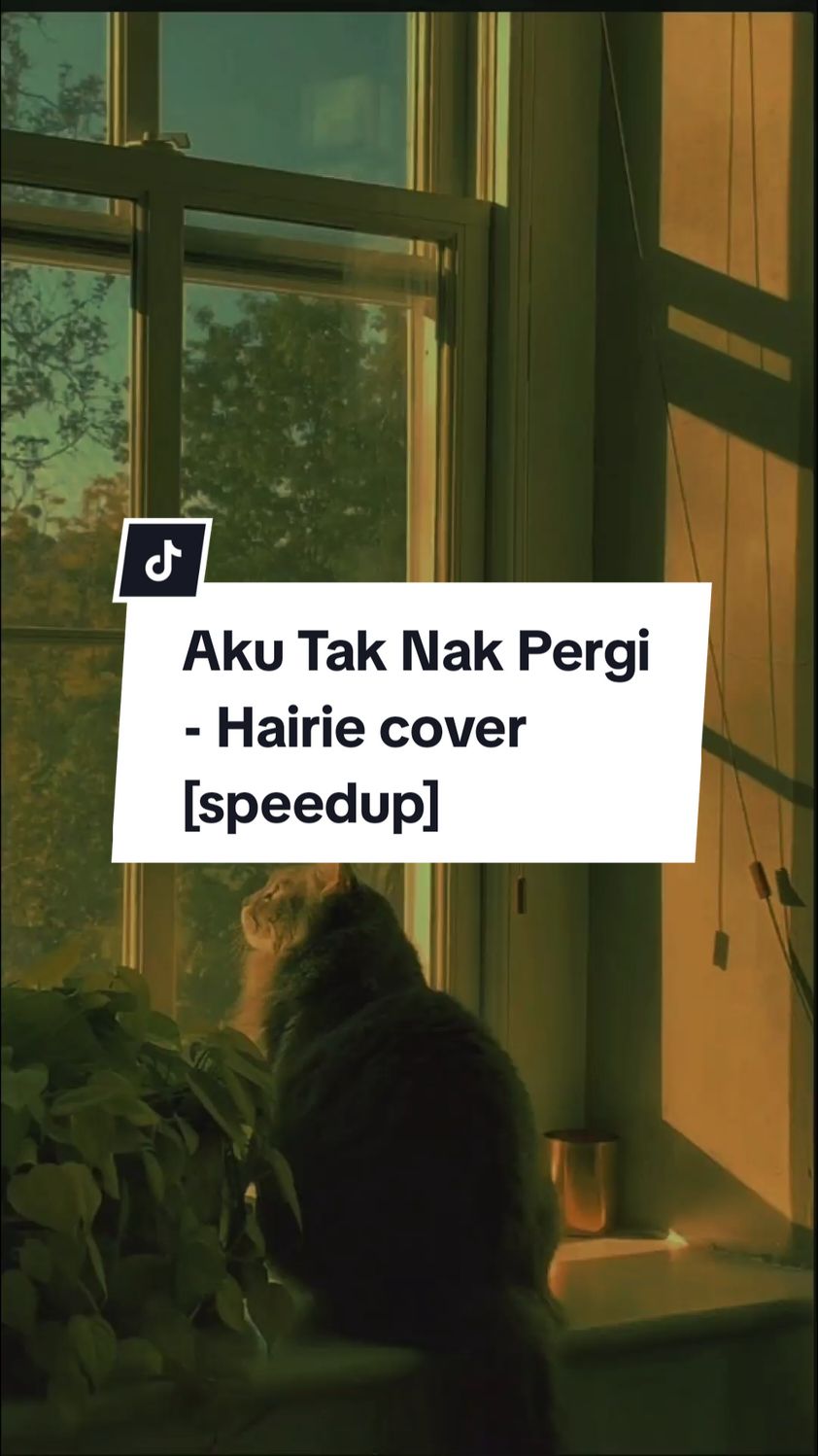 @template lirik ♪♪♪