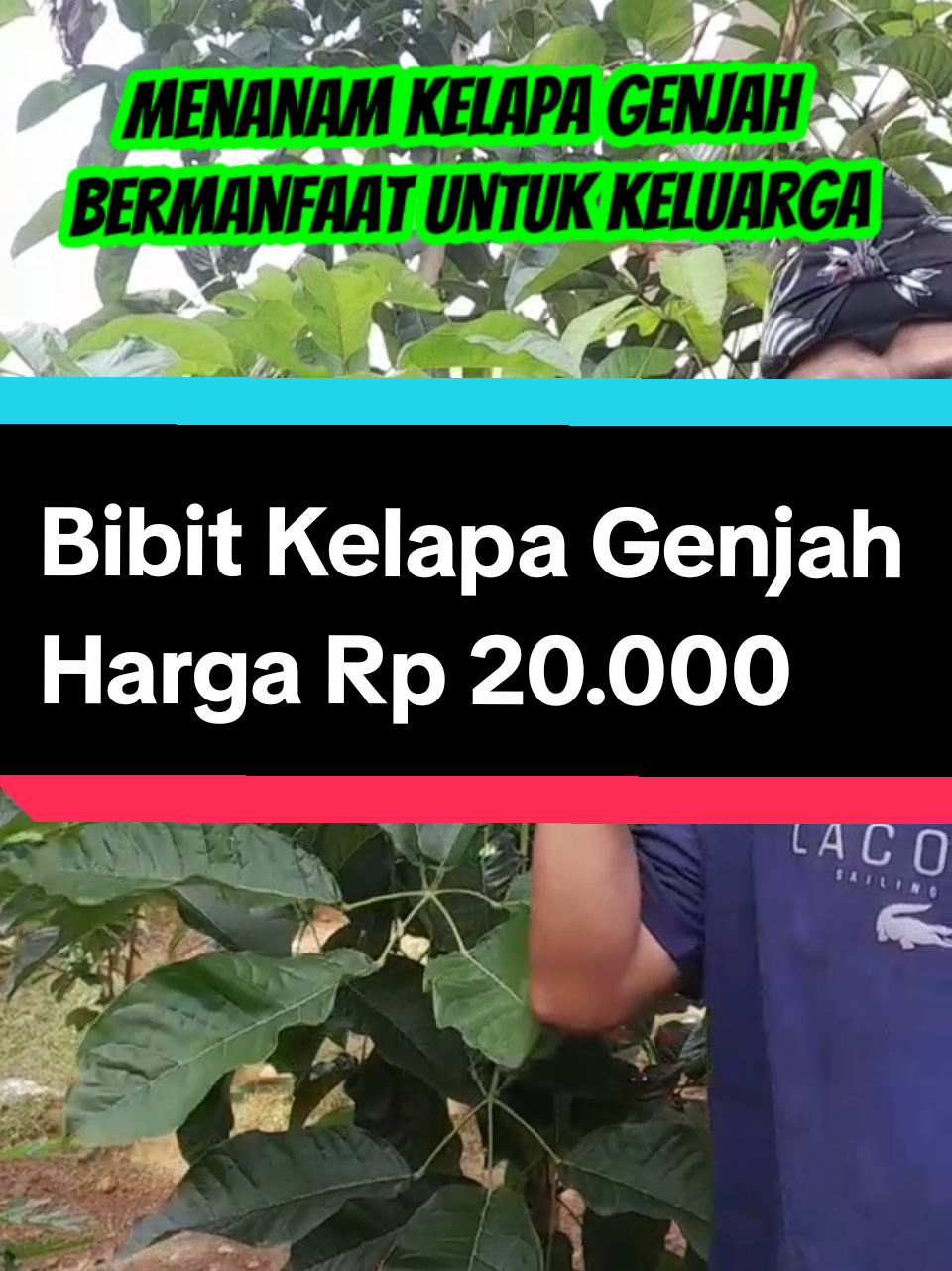 @ARI RADJA CHANNEL