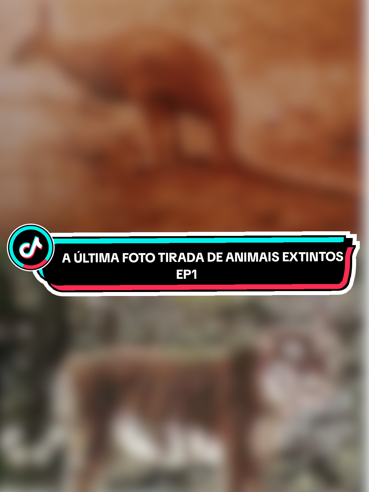 @Curiosidades sobre Biologia