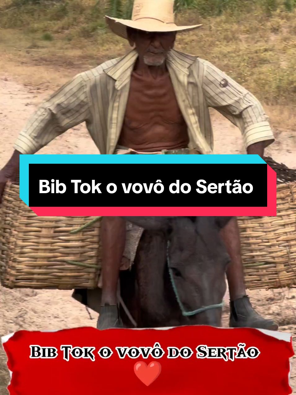 @Fernando Santos 🌵