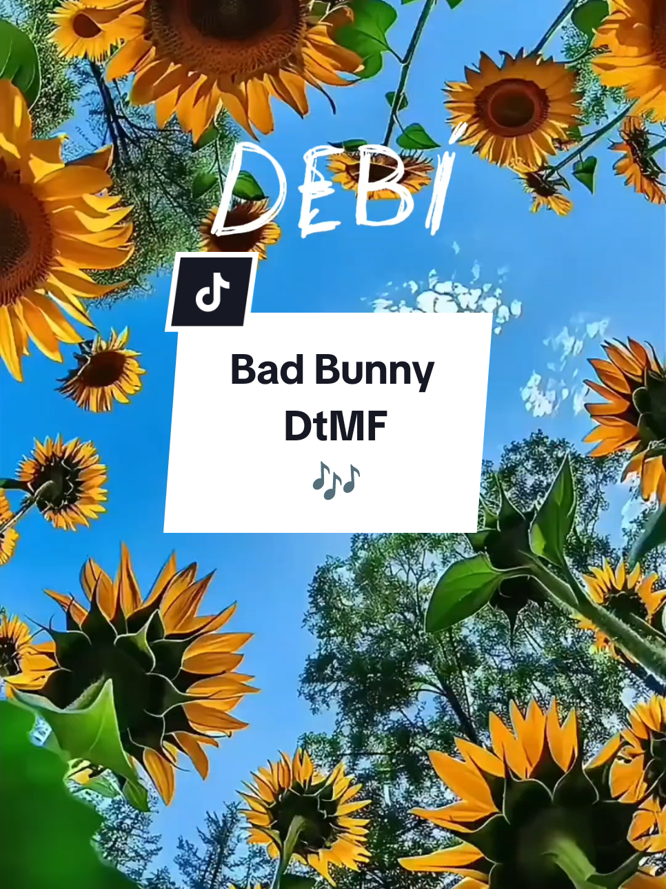 @🄼🅄🅂🄸🄲◢ ◤🄻🄾🅅🄴🅁