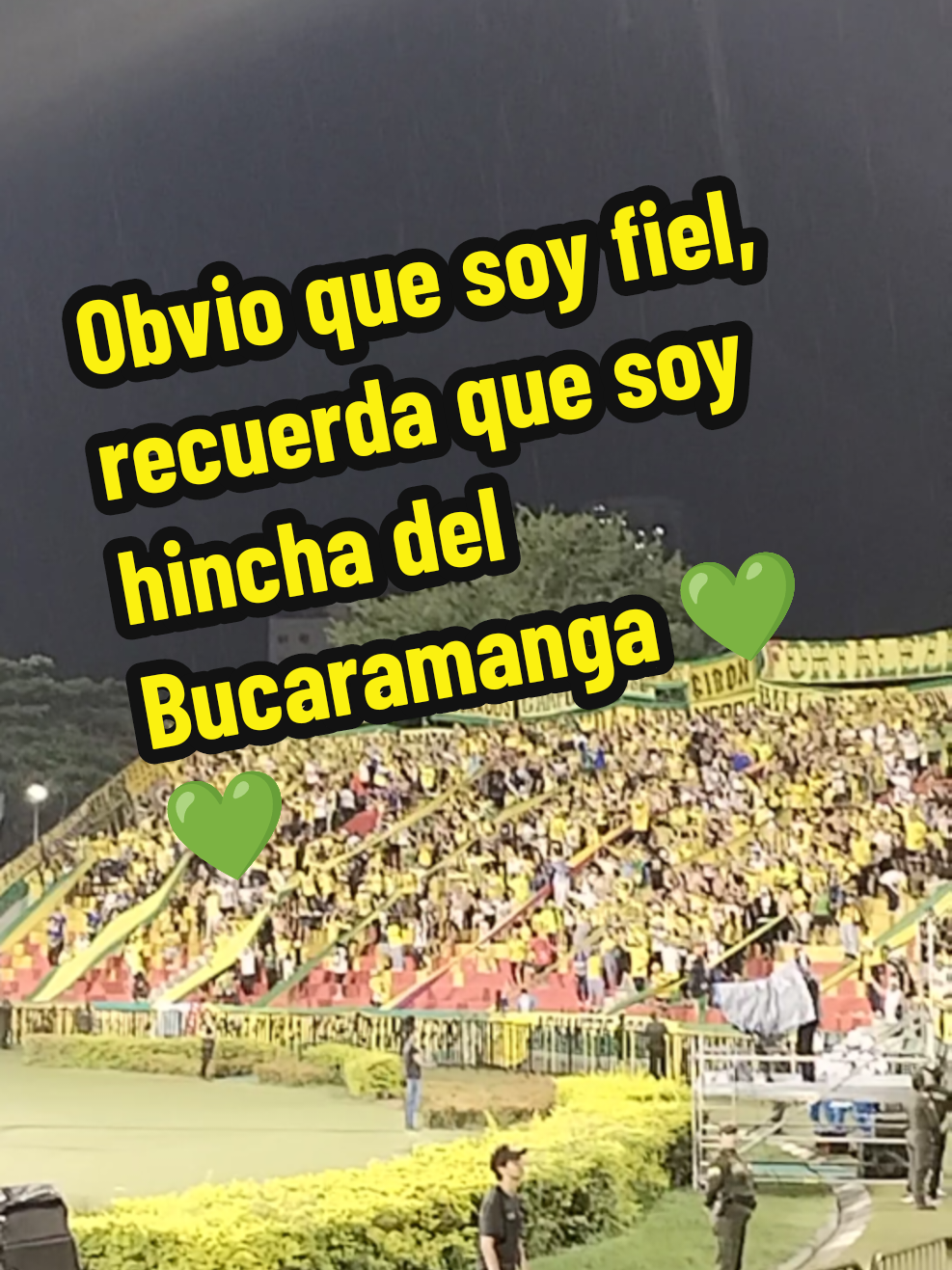 @Liliana Zabala Mendoza