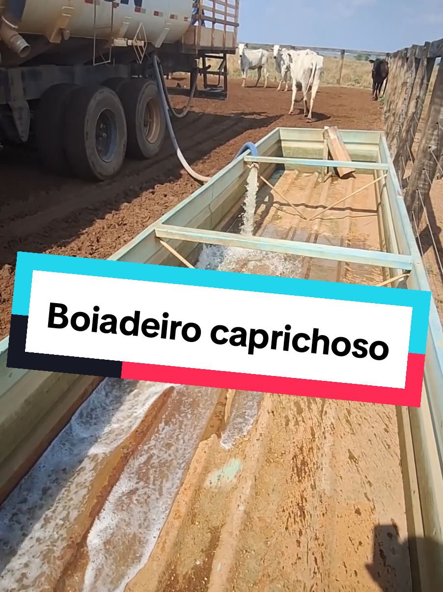 @Fabinho de Lima