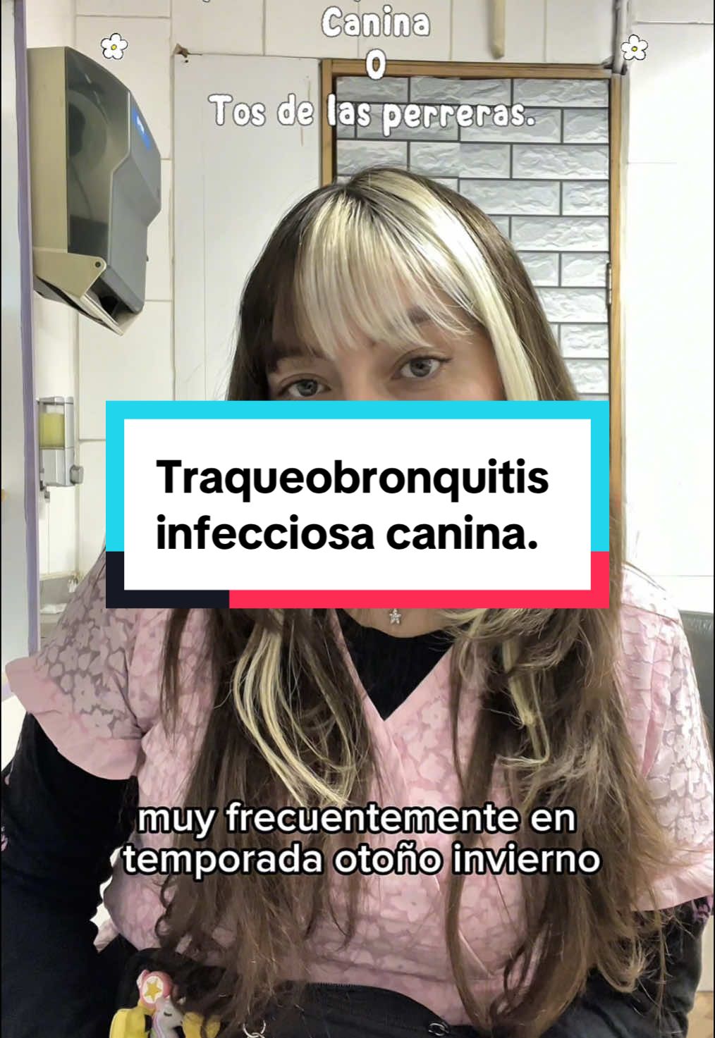 @Stefy Donoso