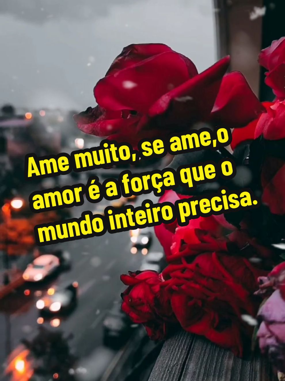 @Moda caipira