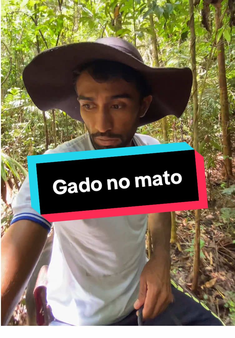@francimar