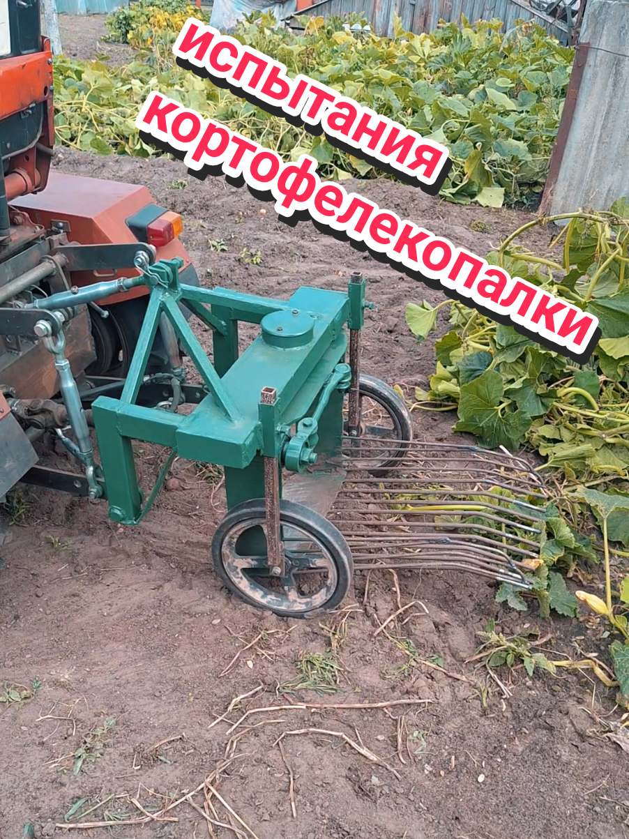 @Дмитрий Онискевич