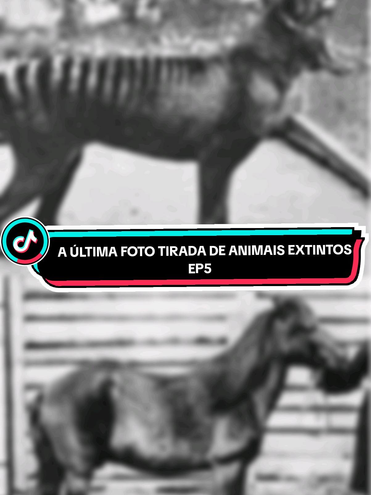 @Curiosidades sobre Biologia