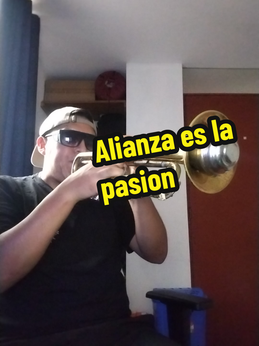 @GustavoTrumpet💙