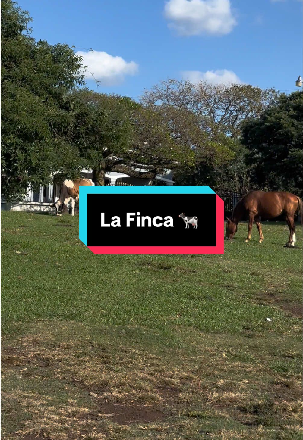 @Cesarín 💫