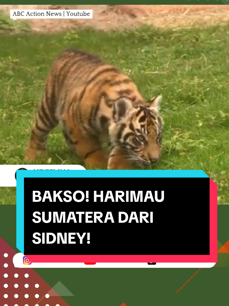 @NARASIMHA