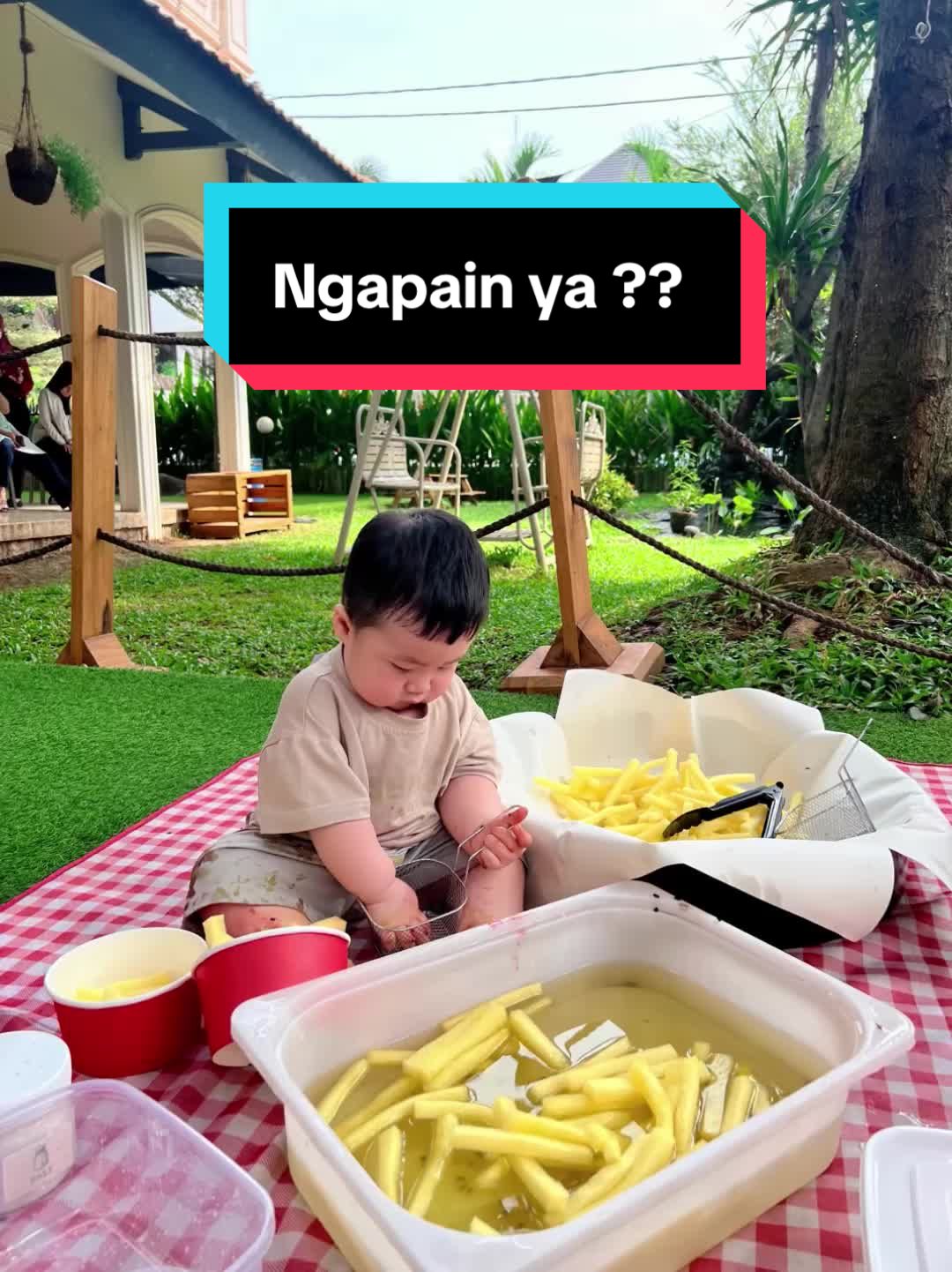 @Noviiagnes