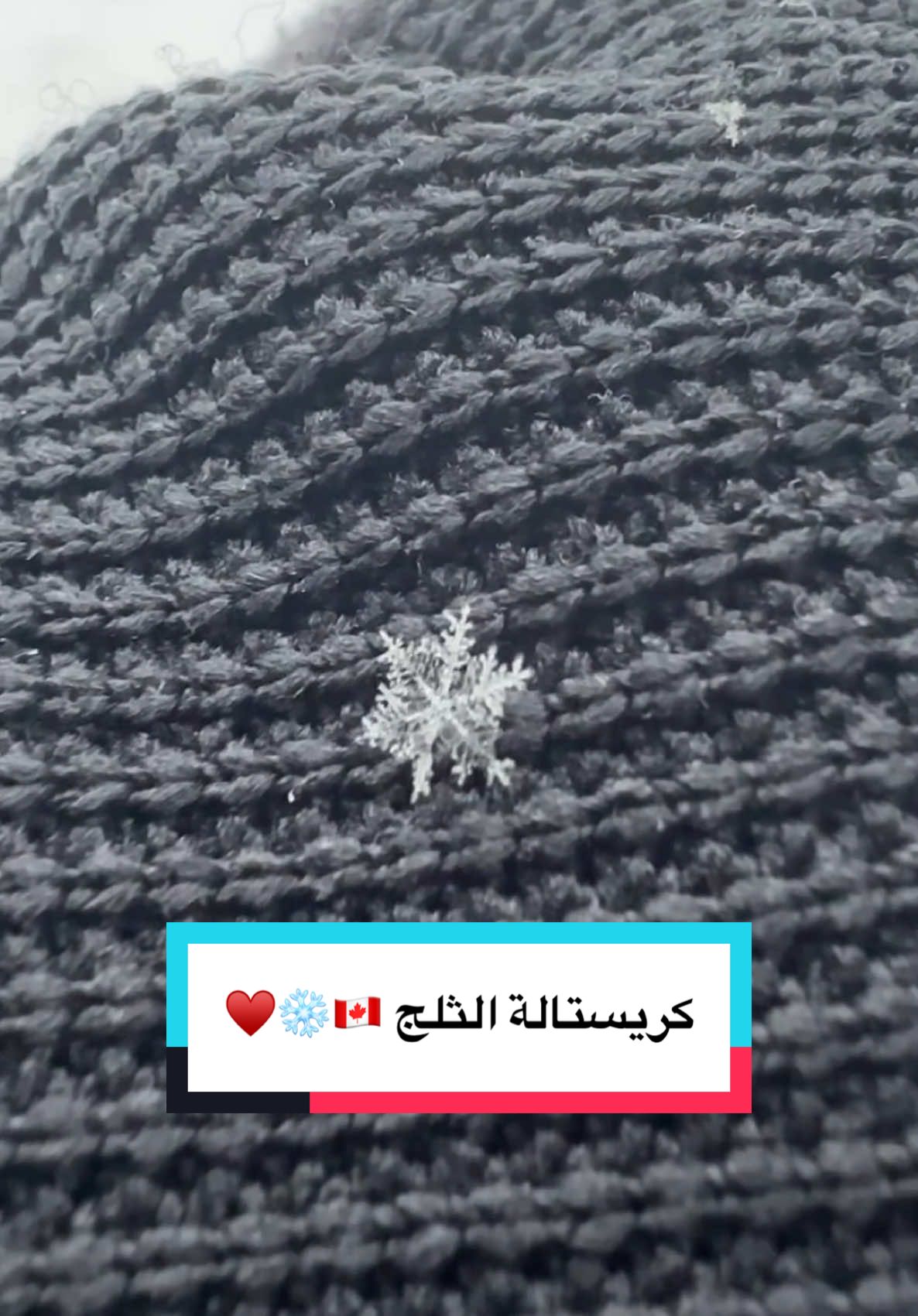 @Mohamad Younes | أبو عمر
