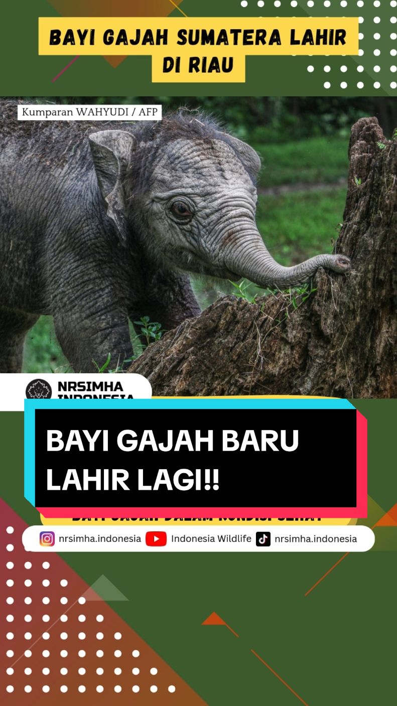 @NARASIMHA