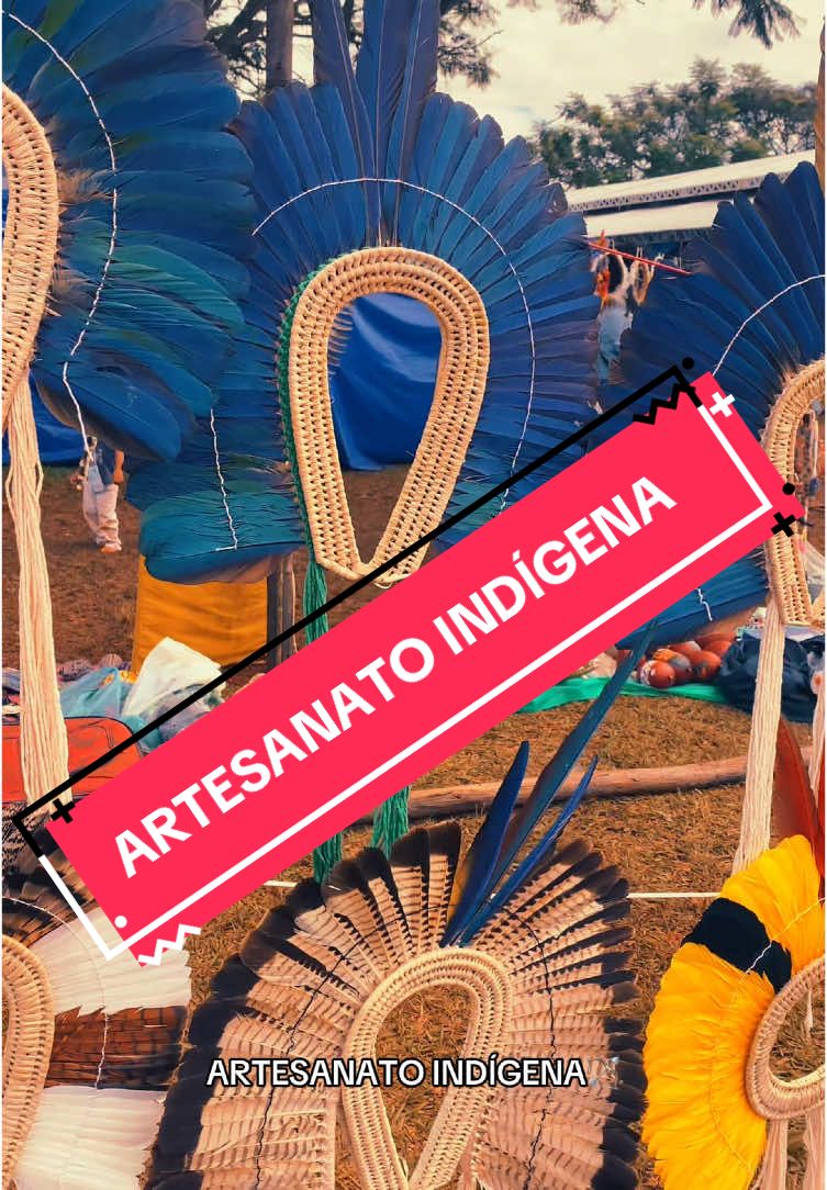 @EI INDÍGENA 𓆉︎