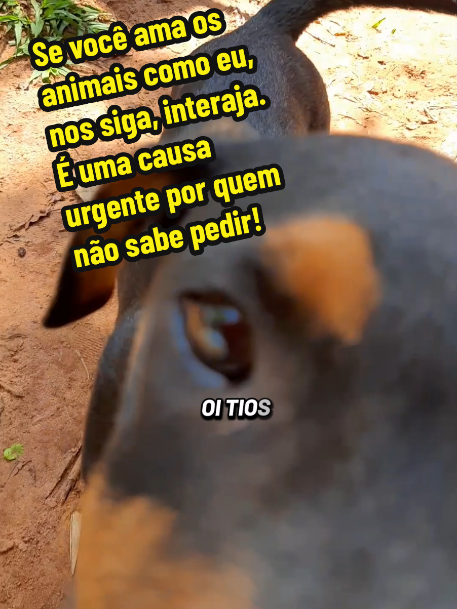 @Lillian Akemi