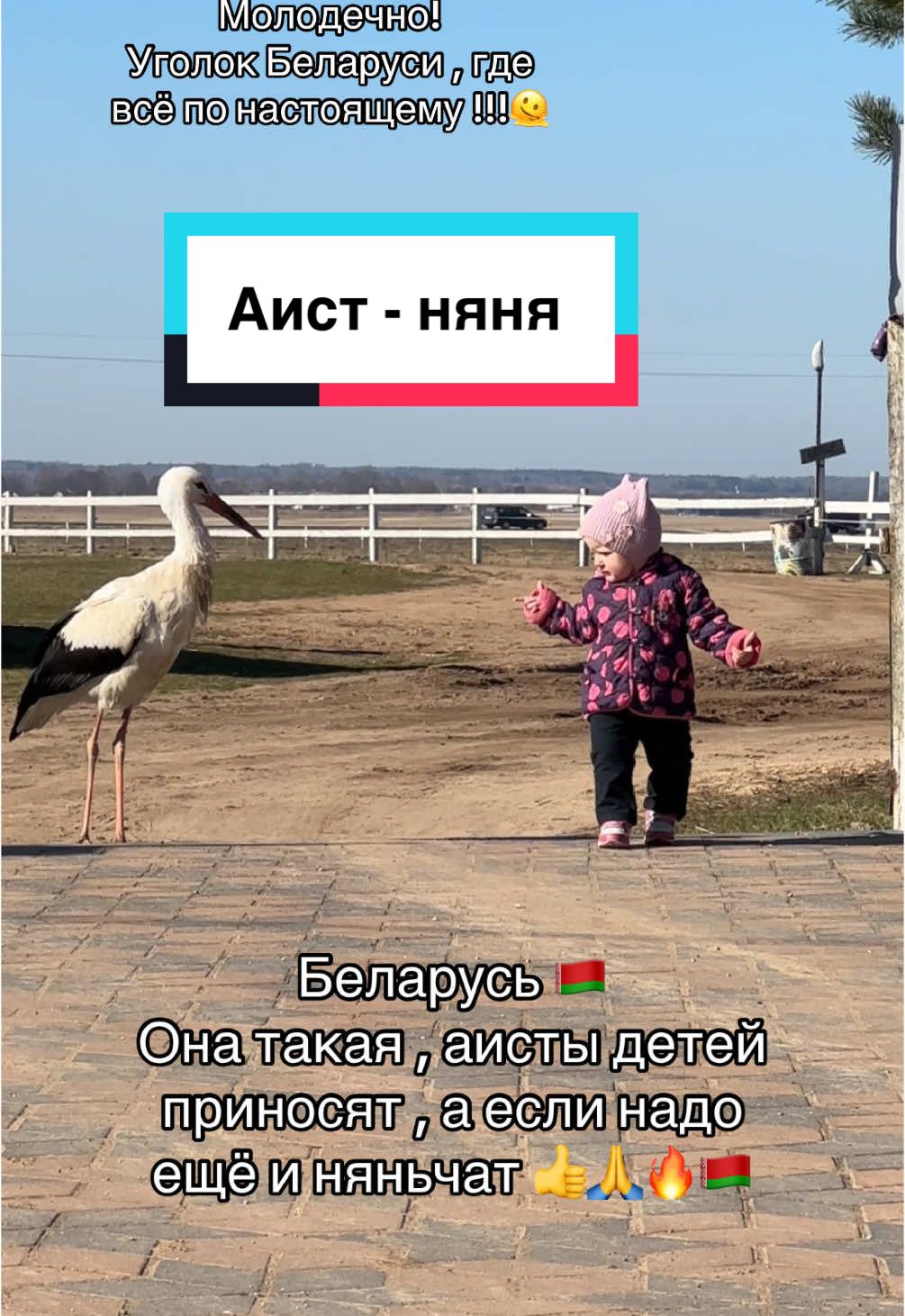 @Анастасия Чернявская.