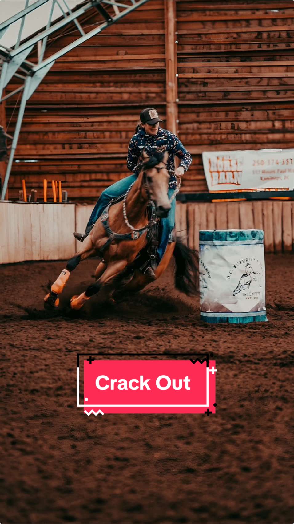 @Diamond W Barrel Horses 🇨🇦