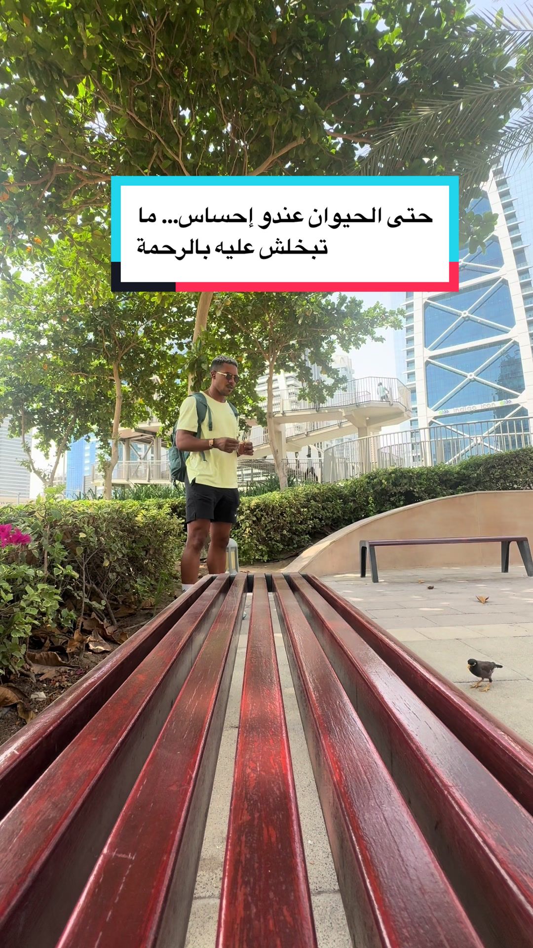 @المــهــدي 🐺
