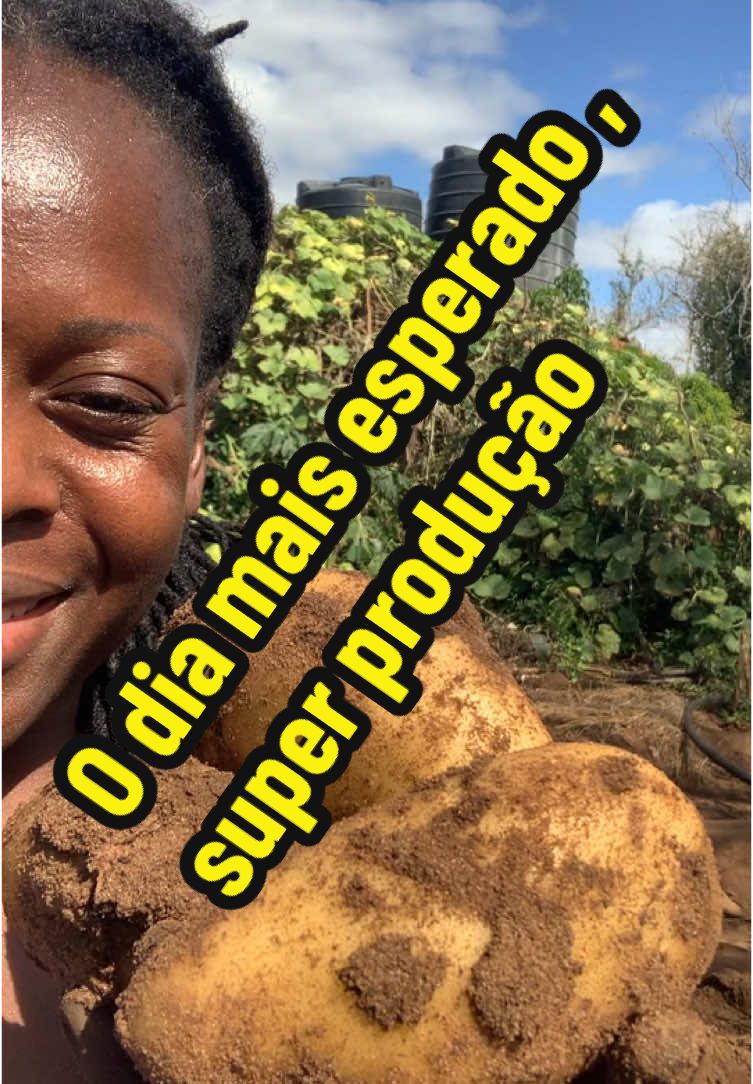 @Felicidade Gotine Firmino