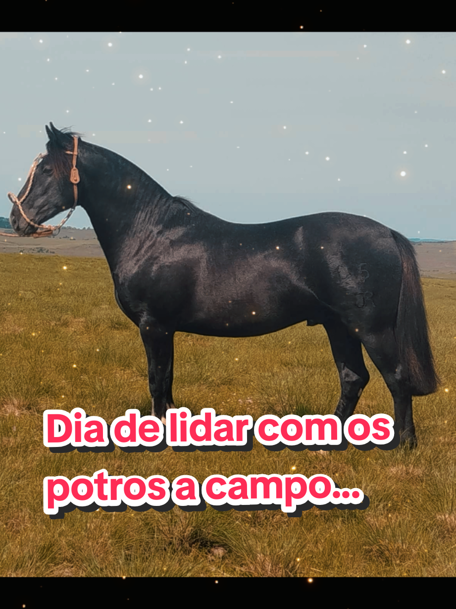 @João Antônio Rupp