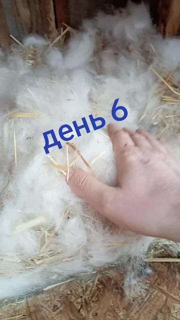 @Matveenkov_Aleksandr