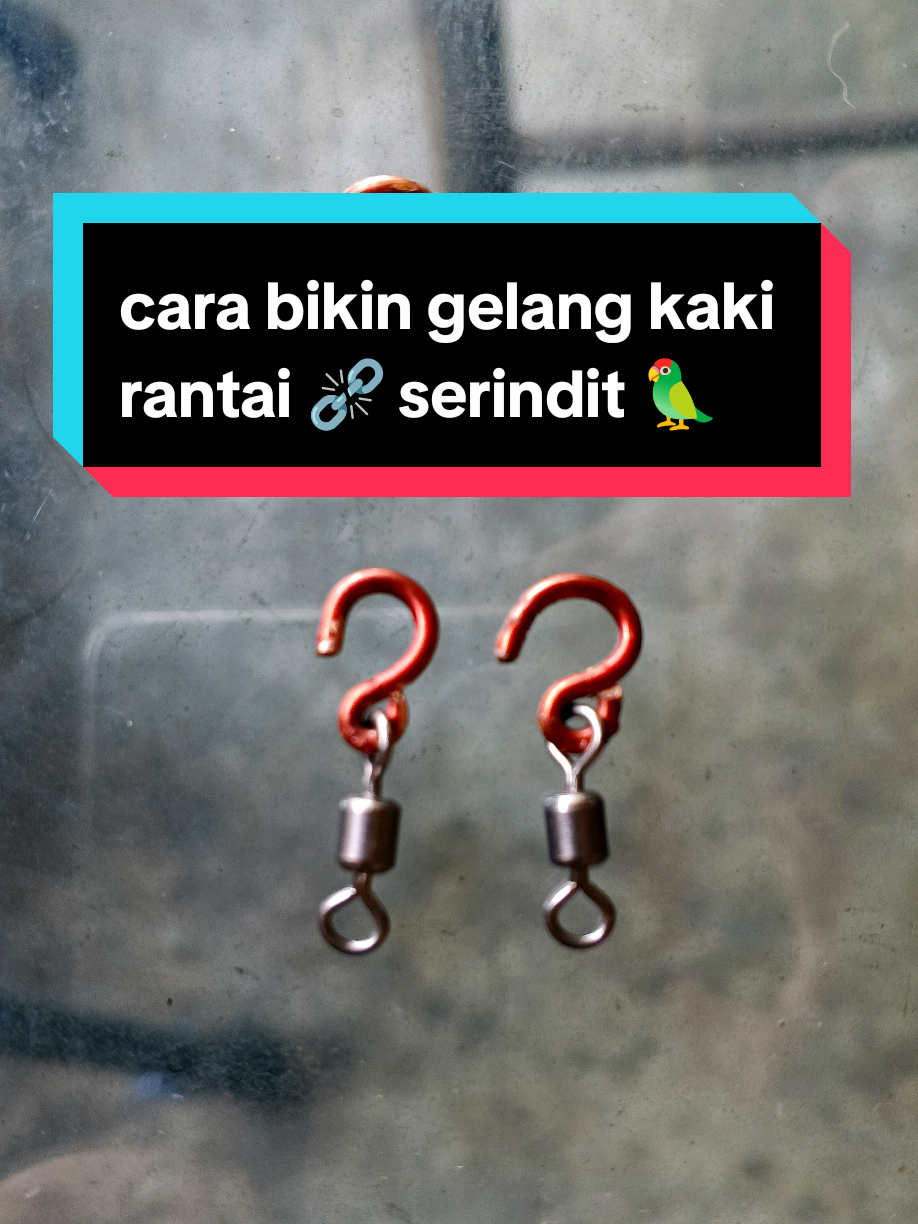 @PJr. EXPLORE