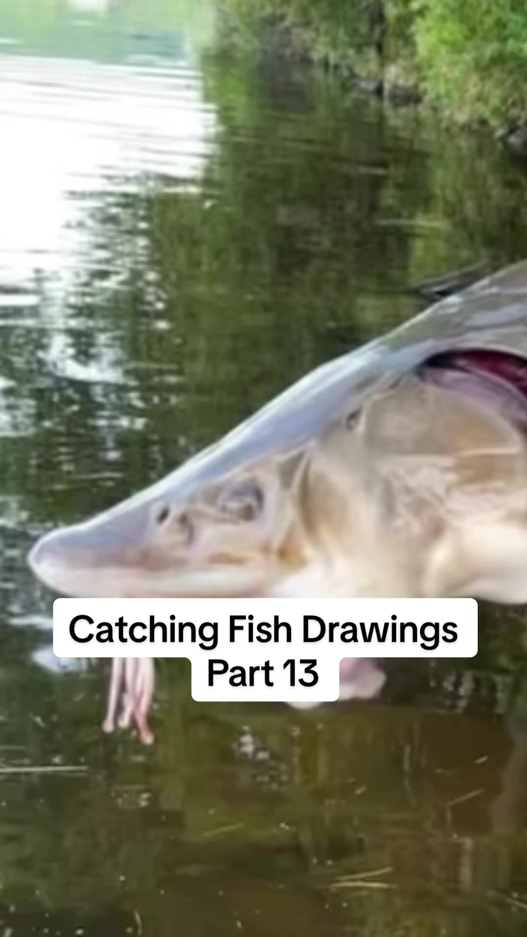 @JlangFishing