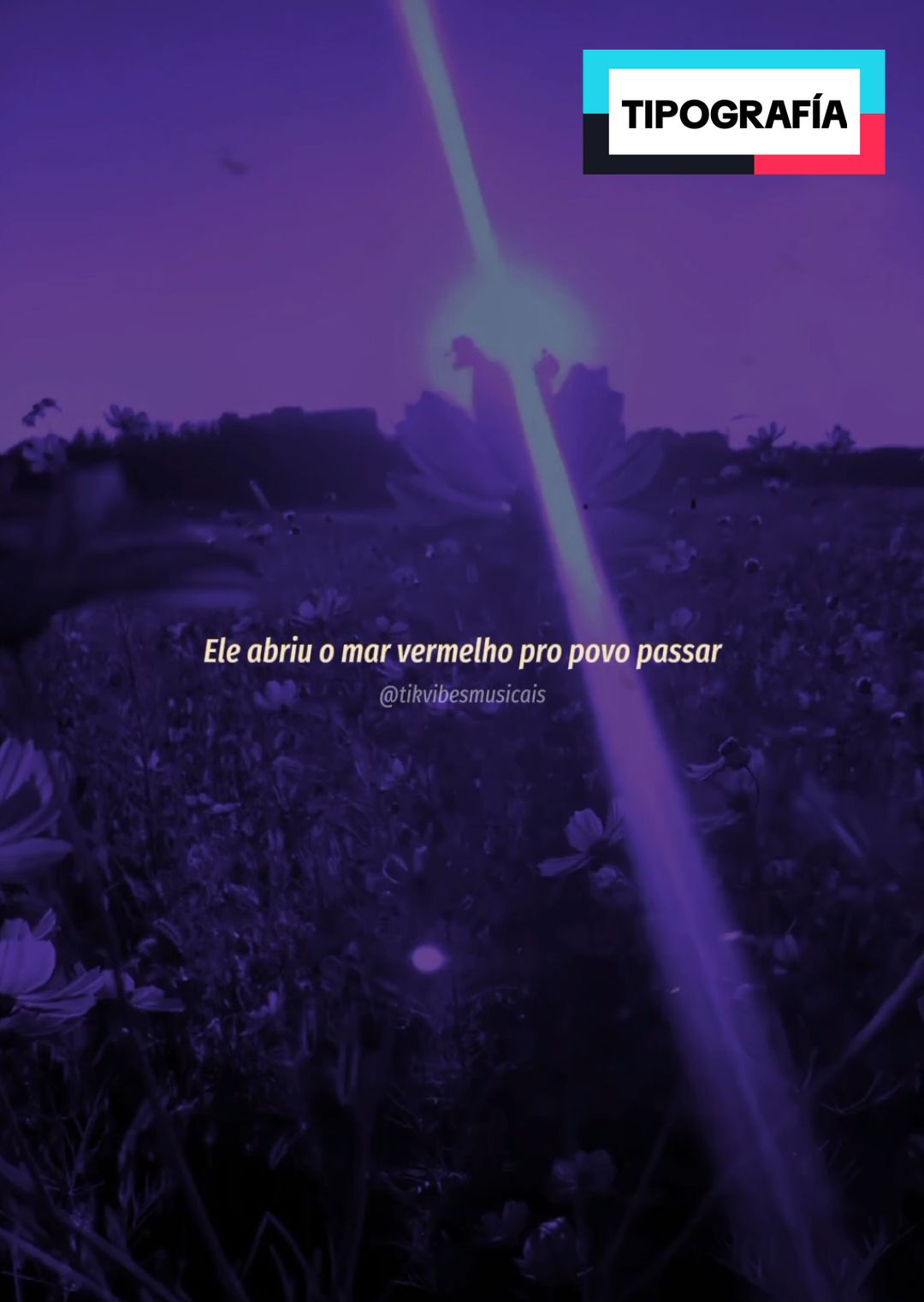 @Tik Vibes
