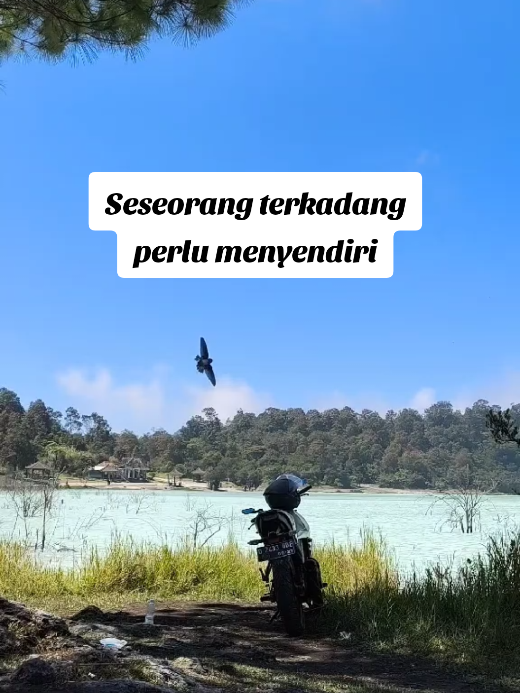 @Ryan Kurniawan