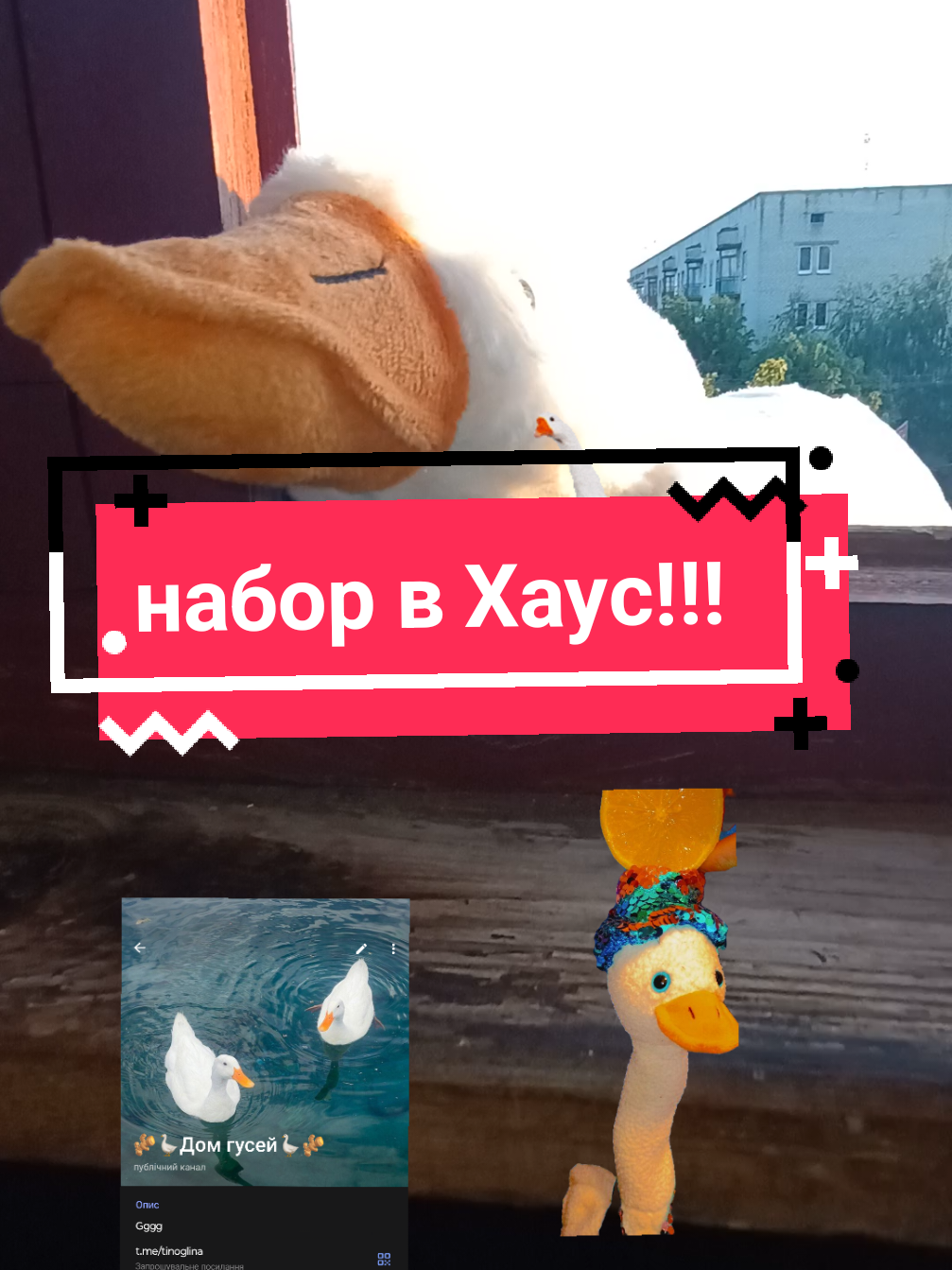 @🎁🦌&bull;&Alpha;&Iota;&epsilon;&psi;&alpha;_&sigmaf;&omicron;&Mu;&bull;🎄❄️