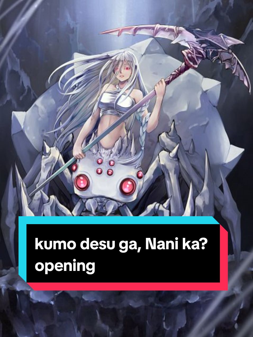 @haku_dono