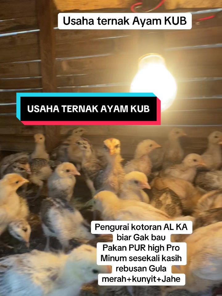 @Risweni Sirait-MUA