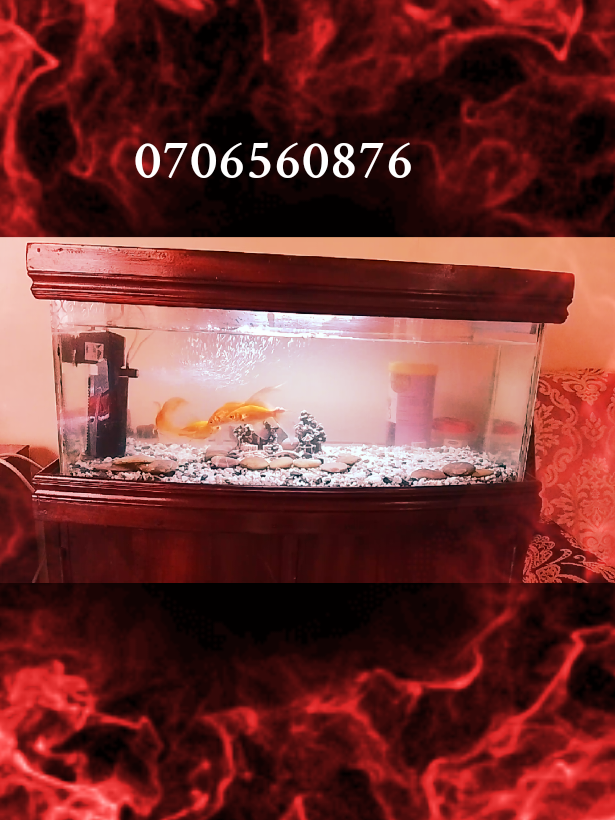 @BALO'S AQUARIUMS