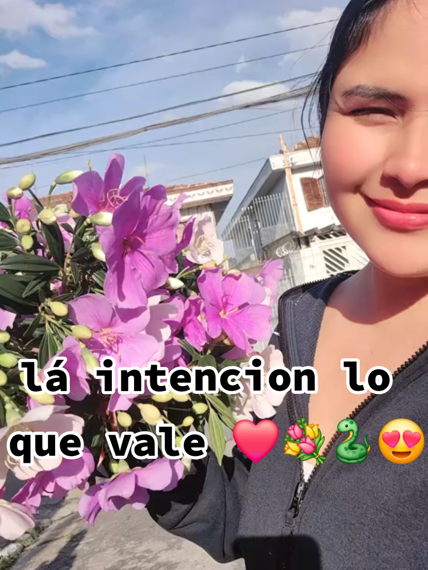 @꧁🌹ANITA🌹🇧🇴🇧🇷꧂