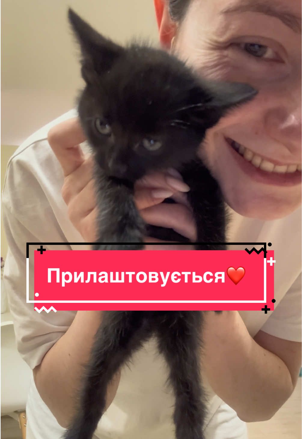 @Корнелія Удовенко