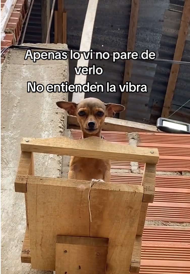@Burgos🦦