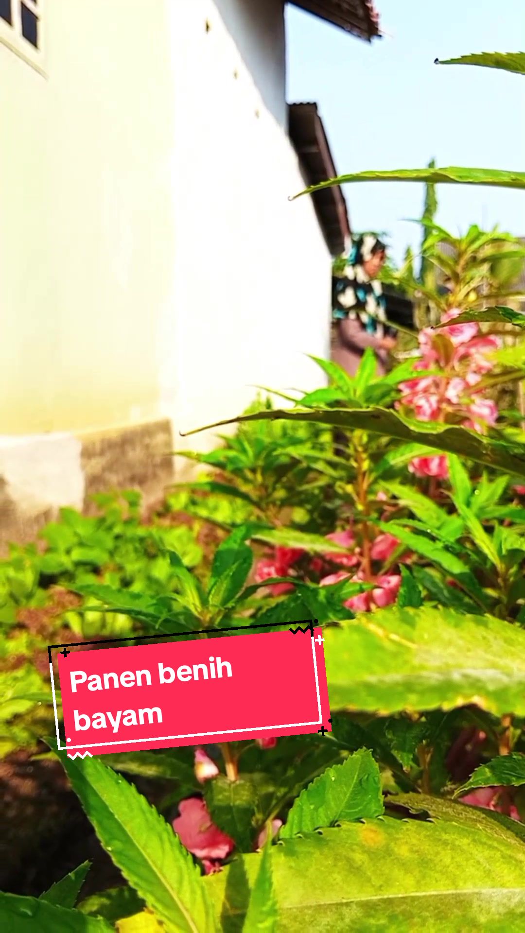 @Prihatini2512