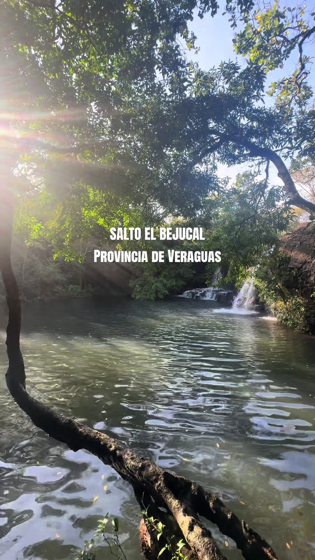 @David Est&eacute;vez