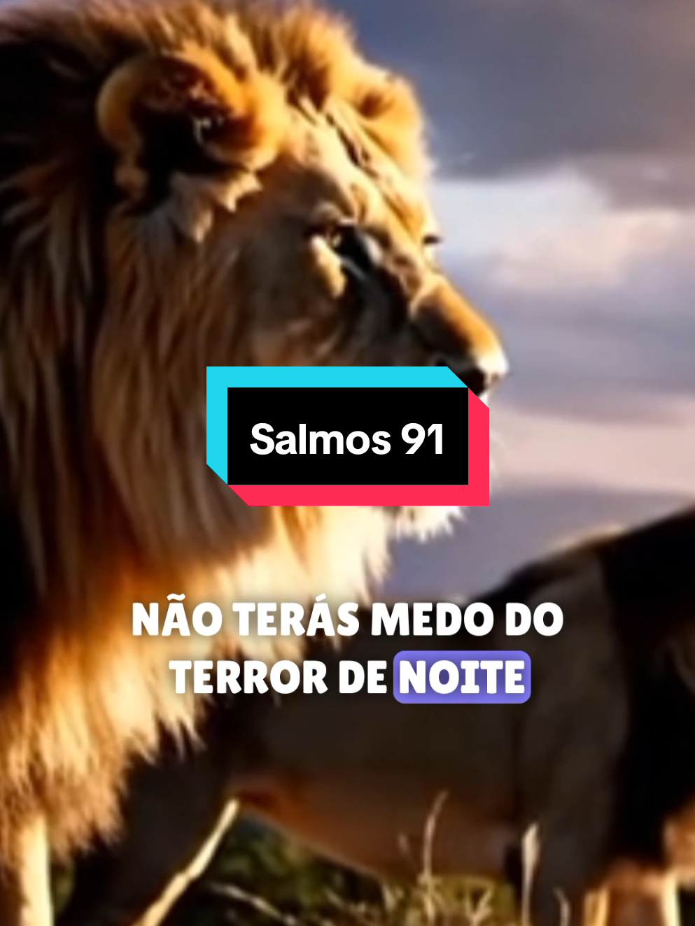 @le@@