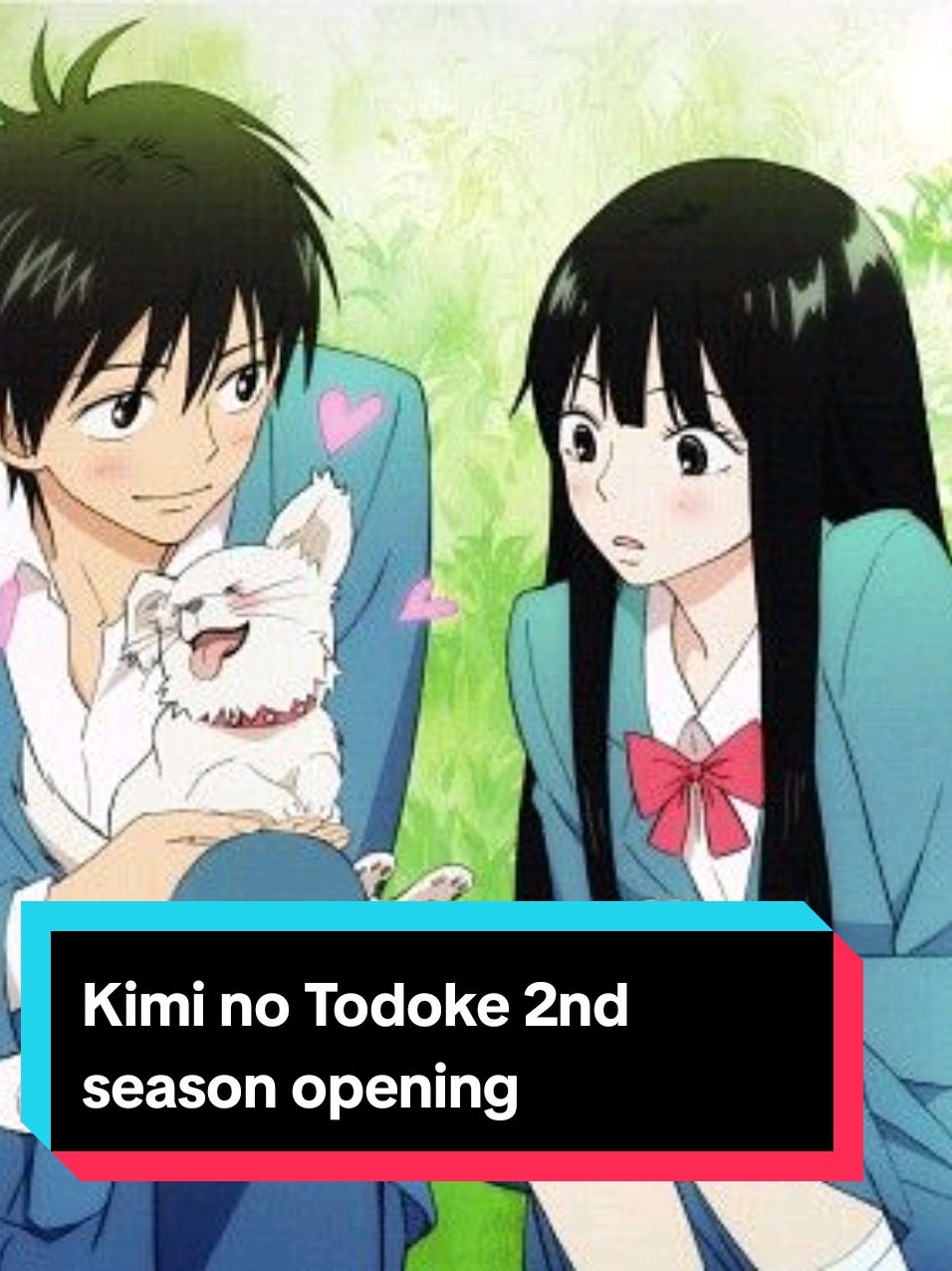 @haku_dono