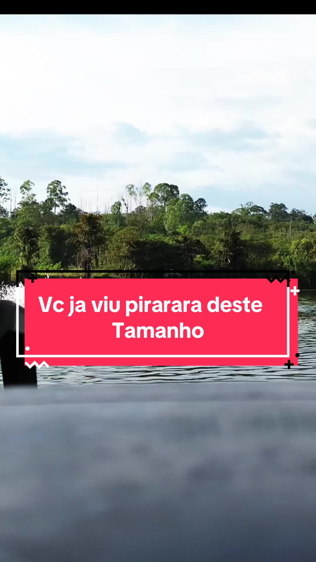 @thiagobombom