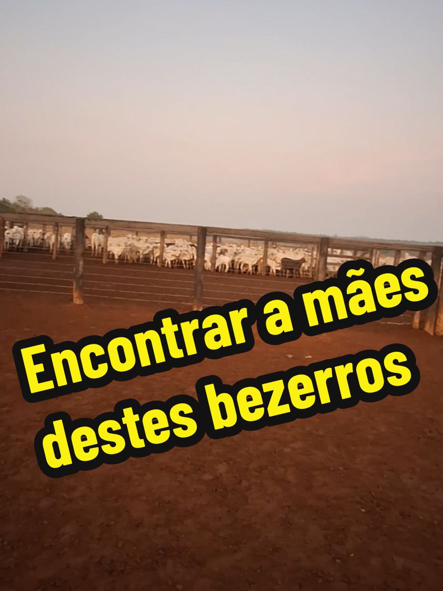 @Fabinho de Lima