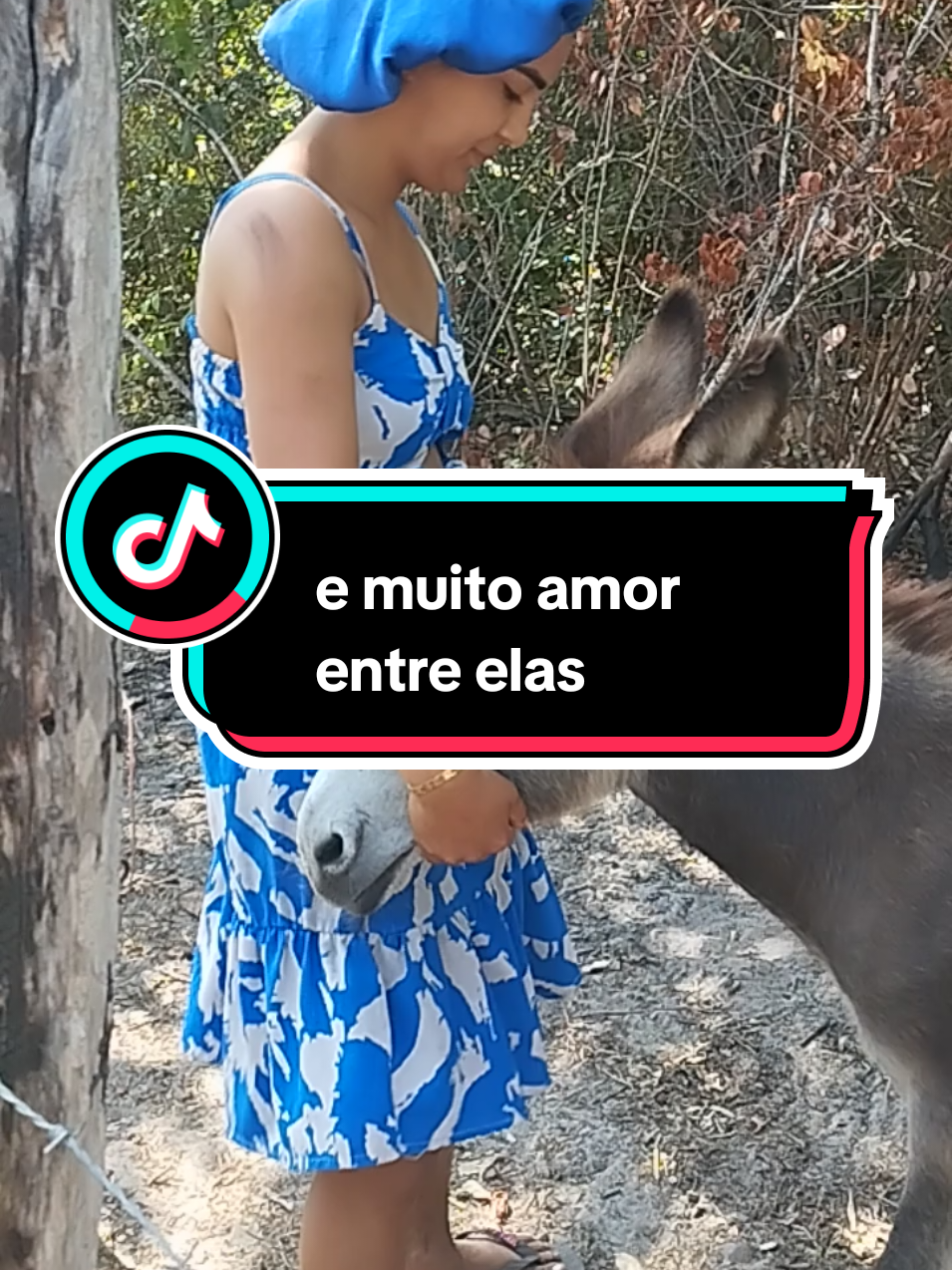 @Raimunda Mendes Sales