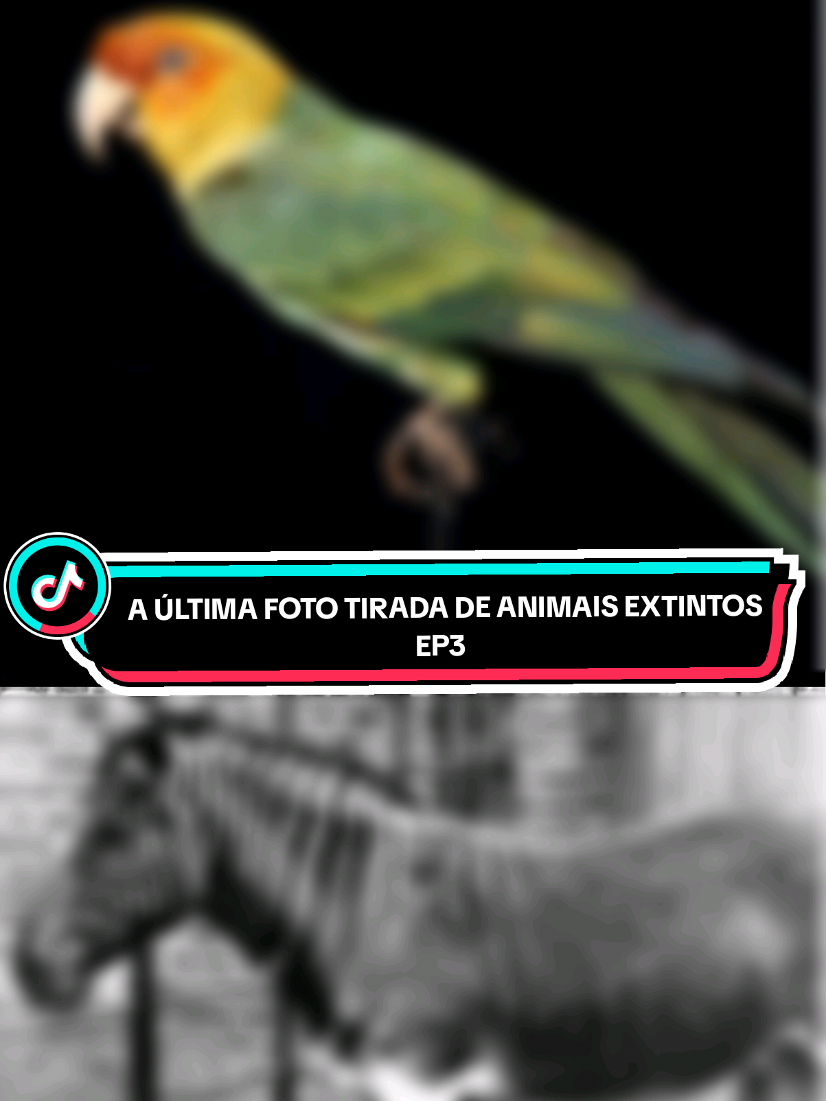 @Curiosidades sobre Biologia