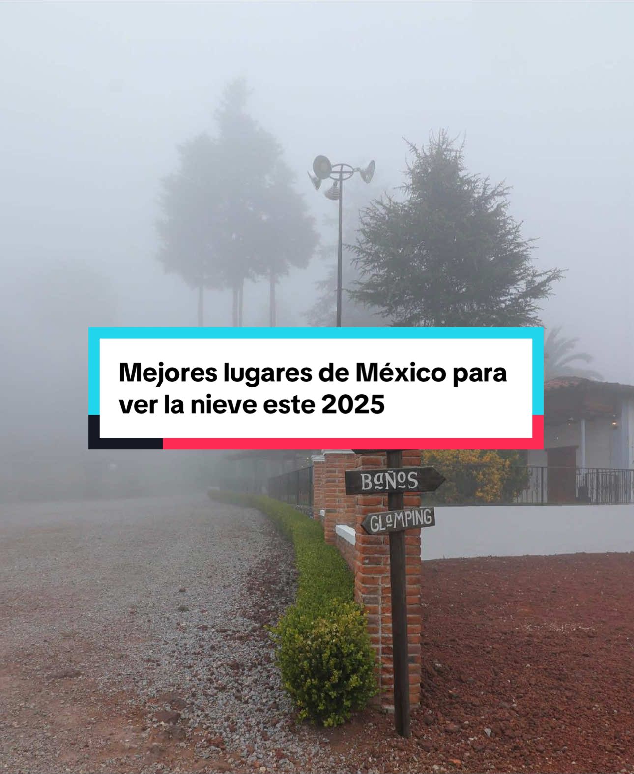 @Vive México
